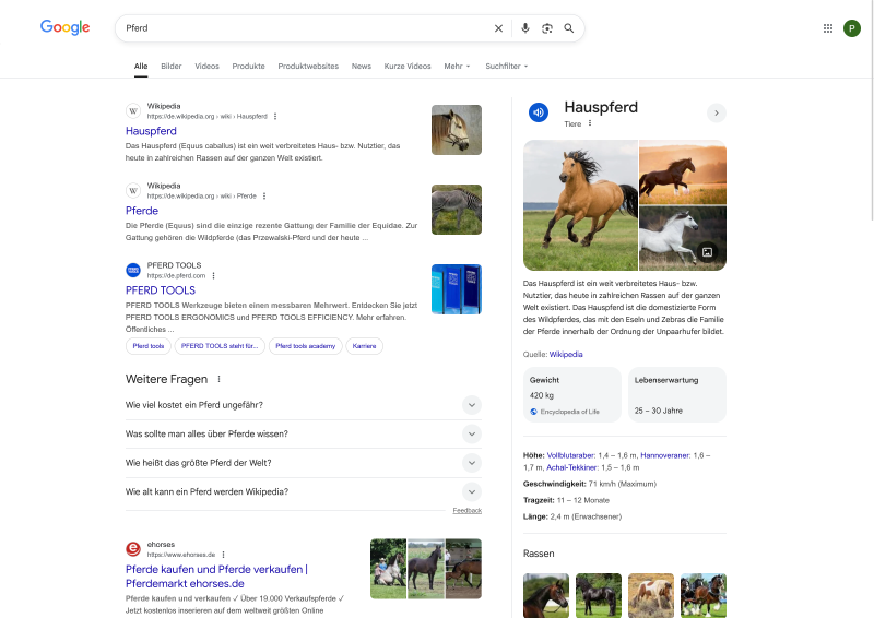 Google.de – Screenshot Google.de – Screenshot